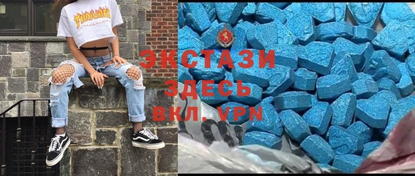 хмурый Алексин