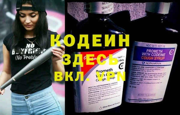 хмурый Алексин