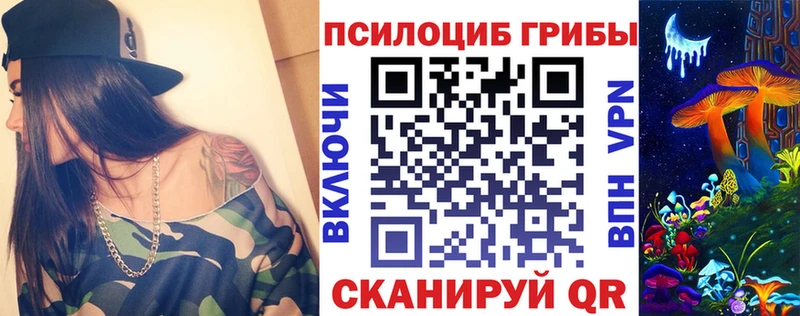 закладки Красногорск Псилоцибиновые грибы ЛСД